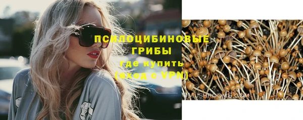 спайс Богородск