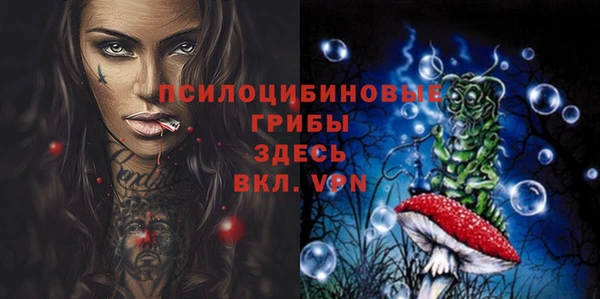 ПСИЛОЦИБИНОВЫЕ ГРИБЫ Богородицк