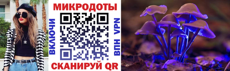 Псилоцибиновые грибы Psilocybe Шарья