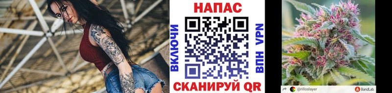 МАРИХУАНА индика  продажа наркотиков  Шарья 